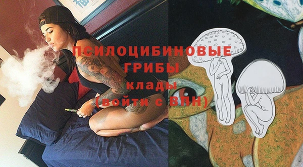 альфа пвп Вяземский