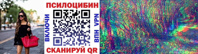 сколько стоит  Евпатория  Галлюциногенные грибы Cubensis 